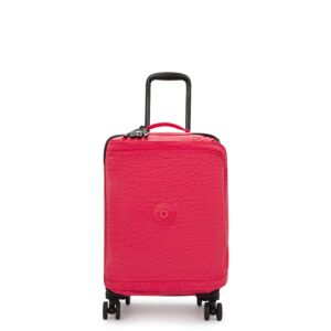 Spontaneous Small Rolling Luggage
