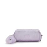 Gitroy Metallic Pencil Case